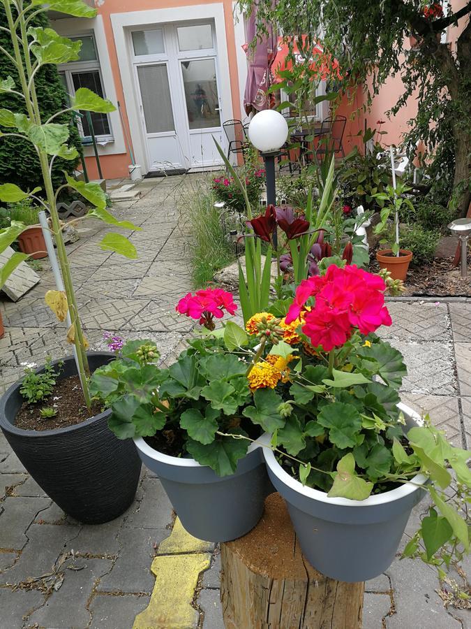 Penzion Libertas Mariánské Lázně מראה חיצוני תמונה